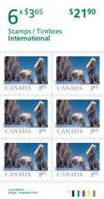 Load image into Gallery viewer, Canadian Postage: 2024 International Stamps - Far and Wide Landscapes
