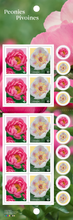Load image into Gallery viewer, Canadian Postage: 2025 Peonies Domestic Stamps