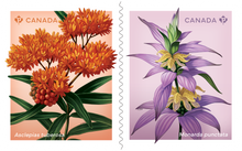 Load image into Gallery viewer, Canadian Postage: 2024 Wildflowers Domestic Stamps