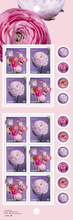 Load image into Gallery viewer, Canadian Postage: 2023 Ranunculus Domestic Stamps