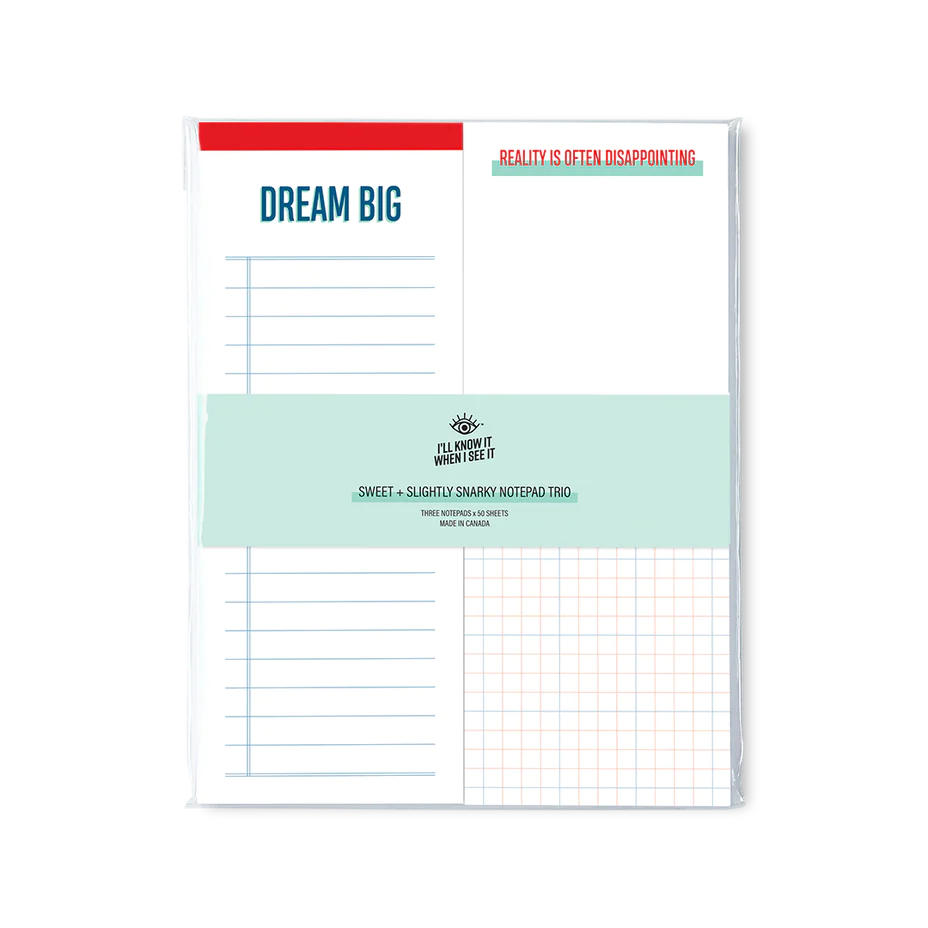 Notepad Set: Dream Big / Reality Disappointing