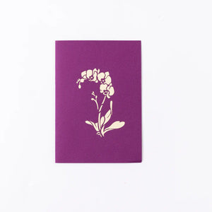 Greeting Card: Pop-Up Orchids