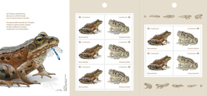 Canadian Postage: 2024 Endangered Frogs Domestic Stamps