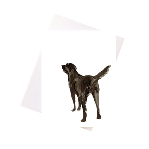 Greeting Card: Dog