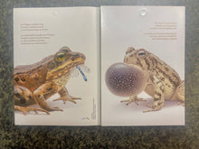 Load image into Gallery viewer, Canadian Postage: 2024 Endangered Frogs Domestic Stamps
