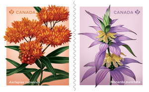 Canadian Postage: 2024 Wildflowers Domestic Stamps