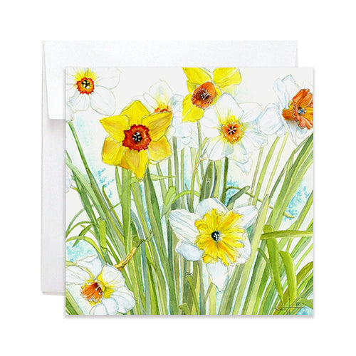 Greeting Card: Daffodils