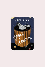 Load image into Gallery viewer, Sticker: You Live, You Learn (Raccoon)
