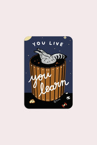 Sticker: You Live, You Learn (Raccoon)