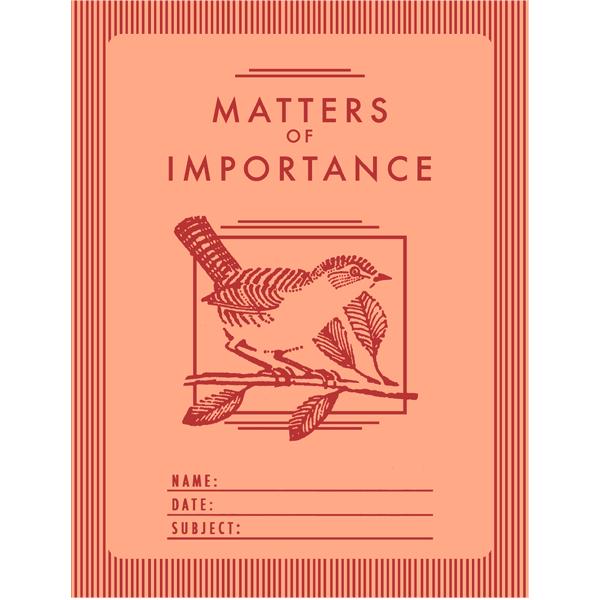 Notebook: MATTERS OF IMPORTANCE