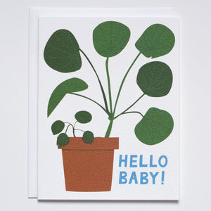 Greeting Card: PILEA BABY