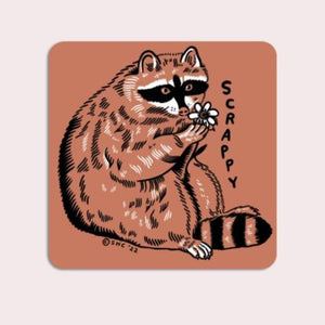 Sticker: Scrappy Raccoon