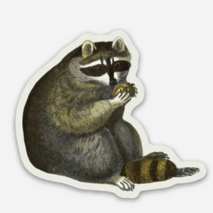 Sticker: The Unbothered Raccoon